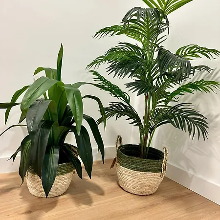 La Muralla Grupo Ac Gestion 公寓 加的斯