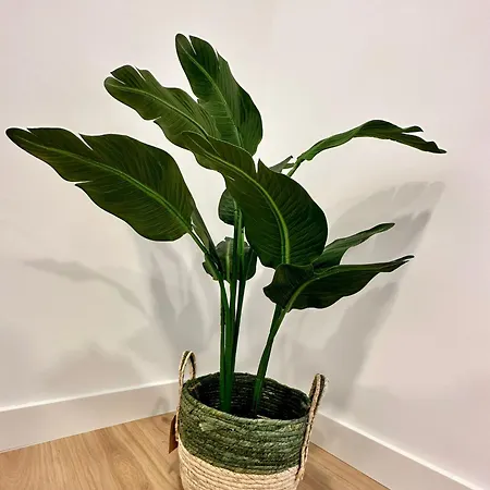 La Muralla Grupo Ac Gestion