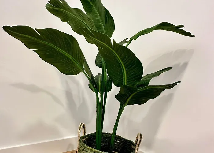 La Muralla Grupo Ac Gestion